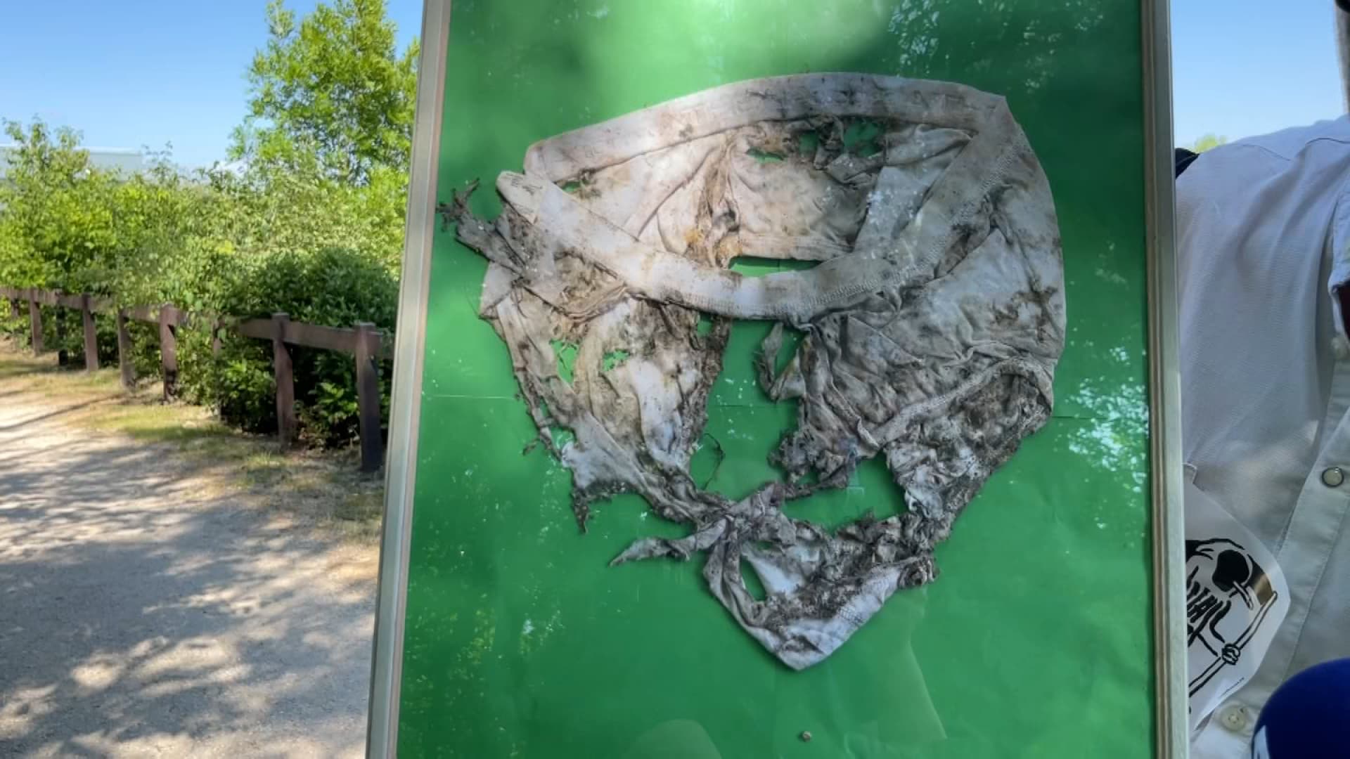 Pour mesurer la fertilité des sols, l'association Taverny sur Terre a enterré un slip. 