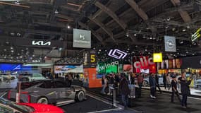 L'édition 2026 du salon de Bruxelles rassemble de nombreux constructeurs.