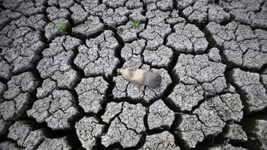Près d'une personne sur dix estime que le réchauffement climatique est le fruit d'un cycle naturel et qu'il n'y a donc pas de raison de s'en inquiéter, selon un sondage international. /Photo d'archives/REUTERS/Oswaldo Rivas