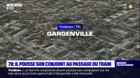 Yvelines: un homme pousse son conjoint au passage du train