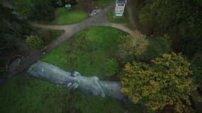 Les images aériennes de la fresque réalisée par l'artiste Saype pour les 30 ans de la chute du mur de Berlin