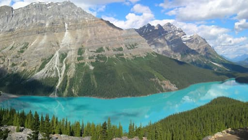 Le lac Peyto dans le parc national de Banff, dans l'Alberta, au Canada.