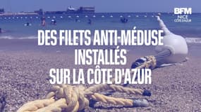 Alpes-Maritimes: des filets anti-méduse installés en mer