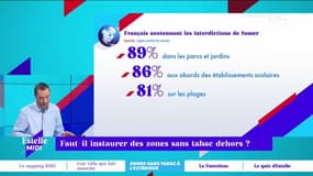 Faut-il instaurer des zones sans tabac dehors ? - 03/11