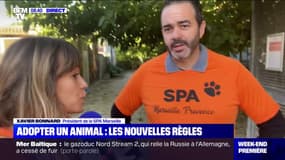 Les nouvelles règles pour adopter un animal