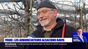 "Une véritable bénédiction": les arboriculteurs ravis des températures glaciales en Alsace