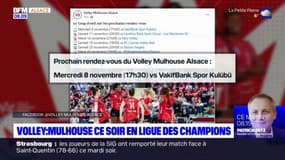 Volley: Mulhouse ce mercredi soir en Ligue des champions