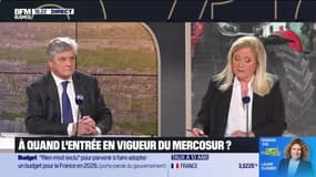 Nicolas Forissier (ministre) : Lecornu annonce une loi d'urgence agricole - 13/01