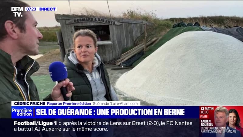 La production de sel de Guérande en berne à cause de la pluie