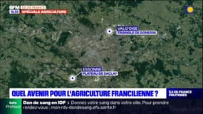 Île-de-France: une tribune pour "sauver les terres agricoles"