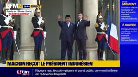 Emmanuel Macron reçoit le président indonésien à l'Élysée
