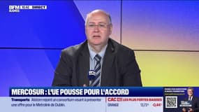 L'intégrale des Experts du mercredi 3 septembre