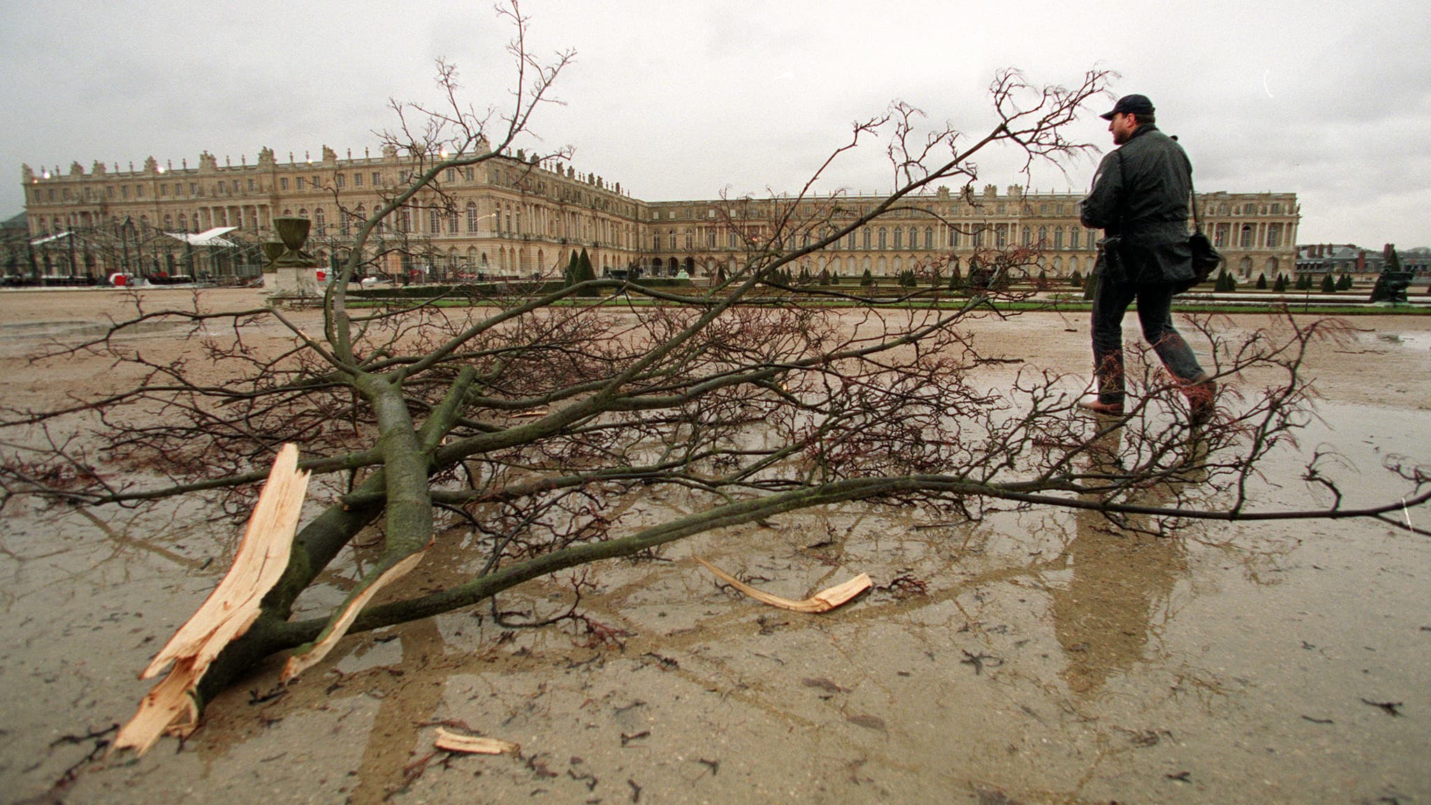 Un arbre déraciné dans le parc du château de Versailles après le passage de la tempête Lothar, le 26 décembre 1999. Un arbre déraciné dans le parc du château de Versailles après le passage de la tempête Lothar, le 26 décembre 1999.
