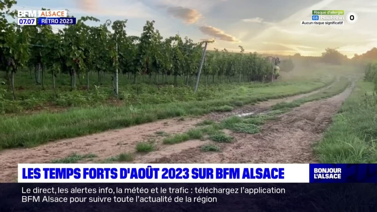 Rétro 2023: Retour Sur Les Temps Forts Du Mois D'août En Alsace