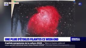 Géminides: comment apercevoir la pluie d'étoiles filantes qui débute ce jeudi