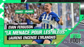 France-Irlande : "Ferguson sera la menace n°1 pour les Bleus", prévient Laurens