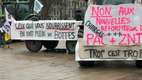 Les agriculteurs du Nord-Pas-de-Calais ont manifesté devant la préfecture à Lille. 