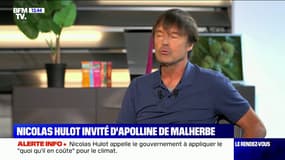 Nicolas Hulot: "L'histoire, tous les jours, donne raison à l'écologie"