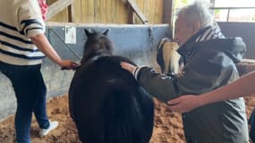 Les résidents de l'Ehpad Shamrock, à Fécamp (Seine-Maritime) ont été mis en contact avec des chevaux et poneys. 