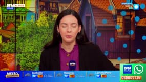 Bonjour Alsace du mercredi 22 octobre 2025