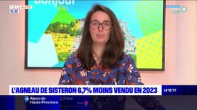 Alpes-de-Haute-Provence: les ventes d'agneau de Sisteron en baisse en 2023