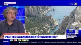 Marseille: après les Pierres Tombées, vers un élargissement du naturisme à d'autres calanques?