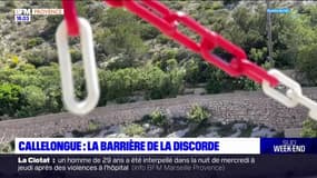 Callelongue: une barrière filtrant l'accès à la calanque installée ce samedi