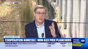 Dominique Chargé (Coopération Agricole): Comment régler la crise agricole ? - 28/02