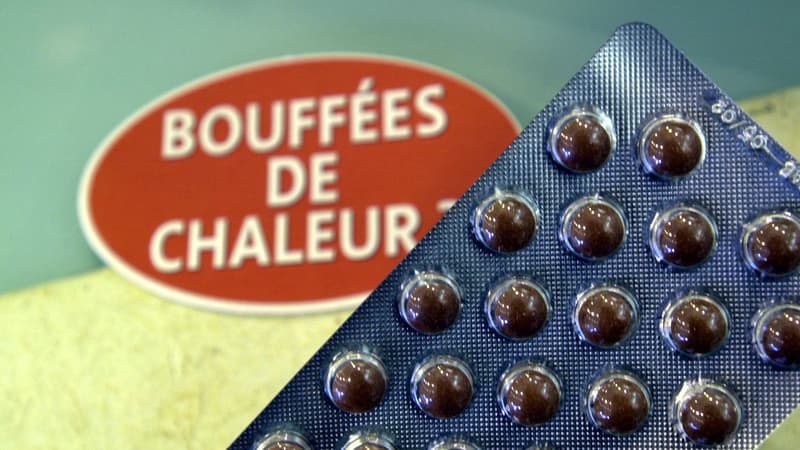 Photo prise le 05 décembre 2003 à Caen d'une plaquette d'un médicament contre la ménopause. Le THS, introduit en France en 1960, jusqu'alors paré de toutes les vertus est aujourd'hui remis en cause par certaines autorités sanitaires et par l'Académie de médecine.