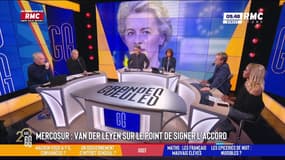 Mercosur : "Ça me conforte dans mon euroscepticisme", avoue Antoine Diers