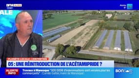 Planète Locale du mercredi 21 mai - 05 : une réintroduction de l'Acétamipride ?