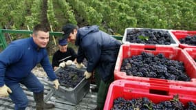 Les Français consomment moins de vin qu'avant.