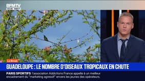 Le break du 16 septembre