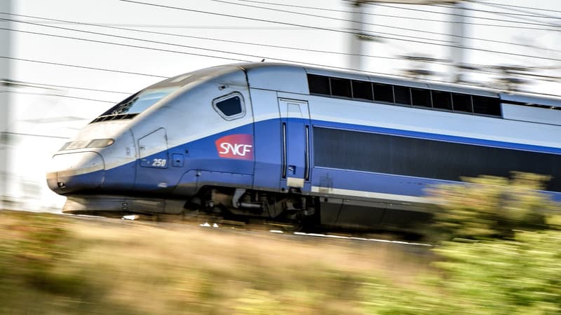 La future ligne à grande vitesse vise à relier Toulouse et Paris, via Bordeaux, en un peu plus de trois heures contre environ 4h10 aujourd'hui.