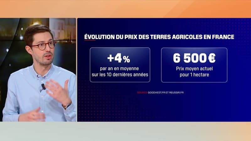 Investir dans les terres agricoles: un bon placement?