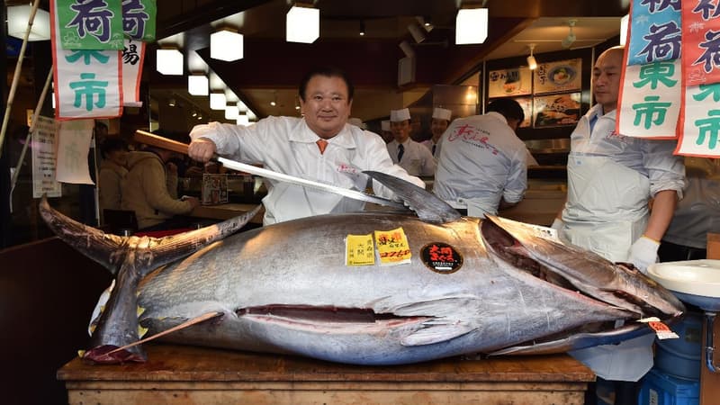 Le thon rouge a été vendu 1.5 million d'euros aux enchères
