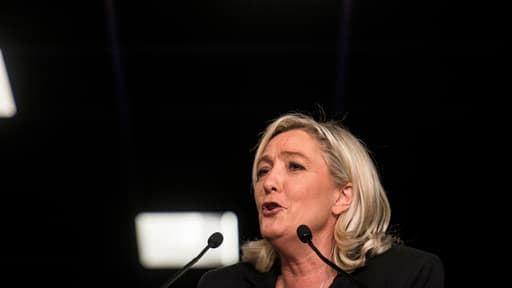 Marine Le Pen lors d'un meeting à Lyon le 1er mars 2014.