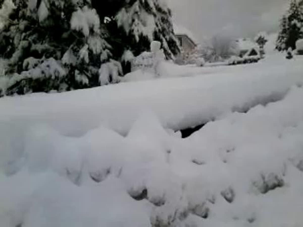 placeholder video