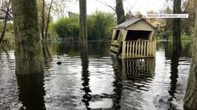 Un refuge pour animaux submergé par les eaux lors des inondations dans le Pas-de-Calais, en novembre 2023.
