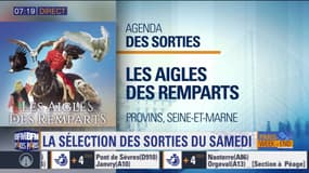 Sortir à Paris : Dernier week-end pour profiter des Aigles des Remparts à Provins