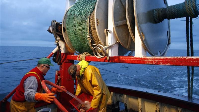 Les Etats membres de l'Union européenne (UE) qui ont à plusieurs reprises dépassé les quotas de pêche imposés par l'UE -en particulier la France, le Portugal et l'Espagne- seront sanctionnés de réductions drastiques de ces quotas cette année. /Photo d'arc