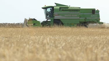 Le réchauffement climatique pourrait, en réduisant la productivité agricole provoquer plus de 500.000 décès supplémentaires. (image d'illustration)