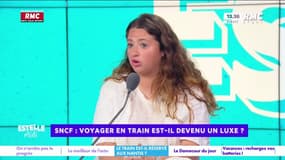 Prix SNCF : "C'est plus cher que mes vacances en Grèce", témoigne Elise Goldfarb