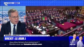 Brexit : le jour J - 31/01
