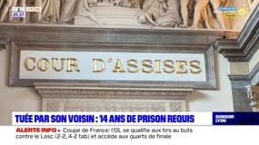 Tuée par son voisin à Lyon à cause du bruit en 2020 : 14 ans de réclusion requis contre l'accusé