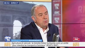 Vaches à hublot: le ministre de l'Agriculture "n'a pas été choqué" par les images