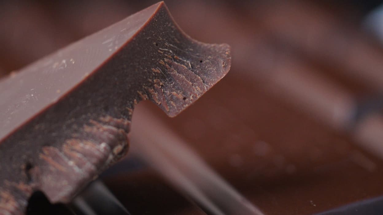 Le cacao, un allié délicieux pour le foie - CAPAHC