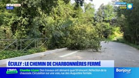 "Ça fait faire un gros détour": le chemin de Charbonnières à Écully de nouveau fermé