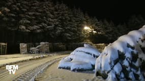 Saint-Étienne, Limoges, Paris… La neige arrive en ville !