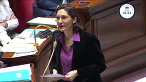 La ministre de l'Éducation et des Jeux olympiques, Amélie Oudéa-Castéra, durant une séance de Questions au gouvernement à l'Assemblée, mardi 6 février 2024.